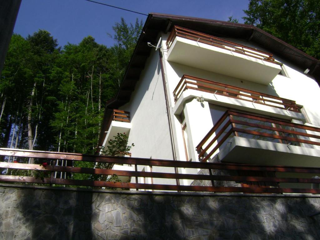 ホテルCasa Anotimpuri シナヤ エクステリア 写真